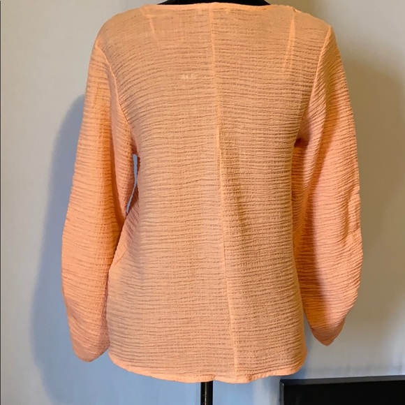 Zara basic collection - Picture 3 of 6